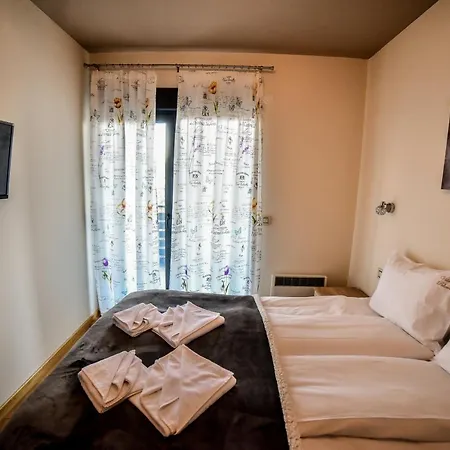 Apartment Balkan Hill *