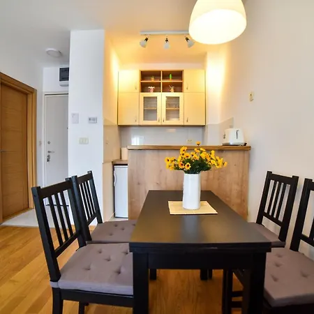 Balkan Hill Apartment Zlatibor