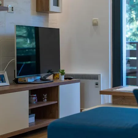 Apartment Balkan Hill *